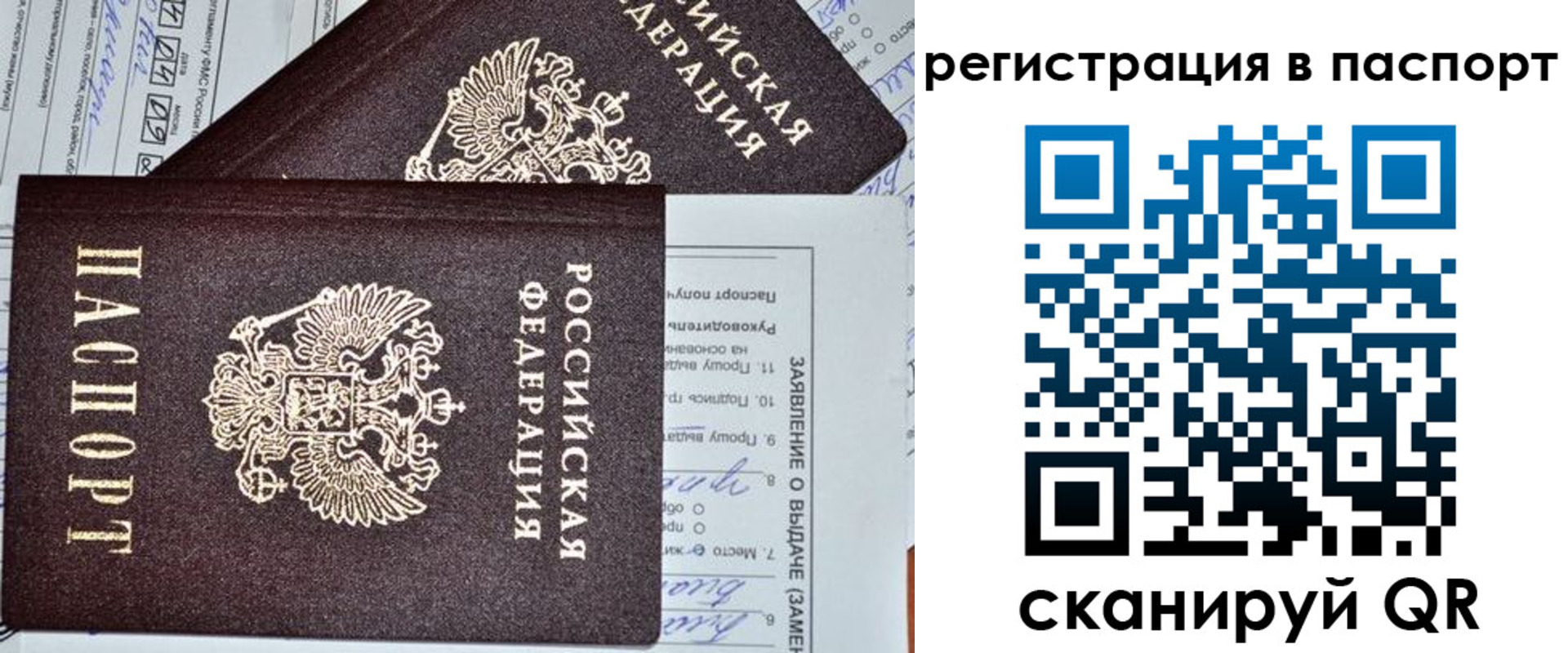 прописка законно в Барыше
